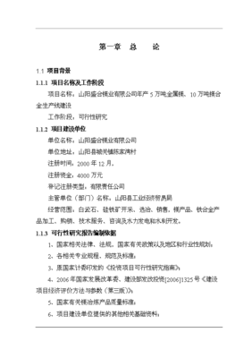 TOP19金属镁、镁合金生产项目投资立项申报材料文档免费在线阅读